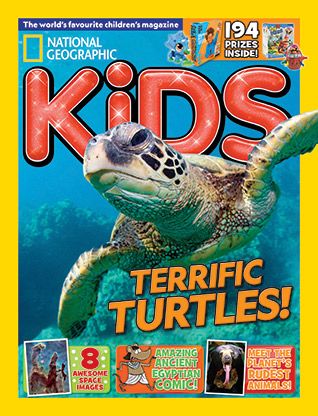 Turtle Fact Kids T-Shirt (White, S)