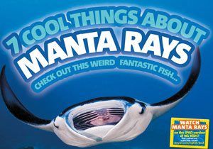 VIDEO: Make Summer Awesome with Reading with the Rays