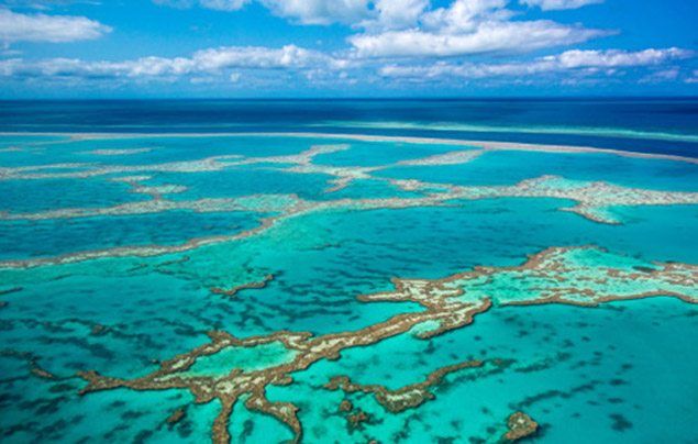 40 Pacific Ocean Facts About The Great Ocean Basin 