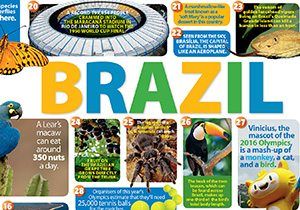 Brazil Country Profile - National Geographic Kids