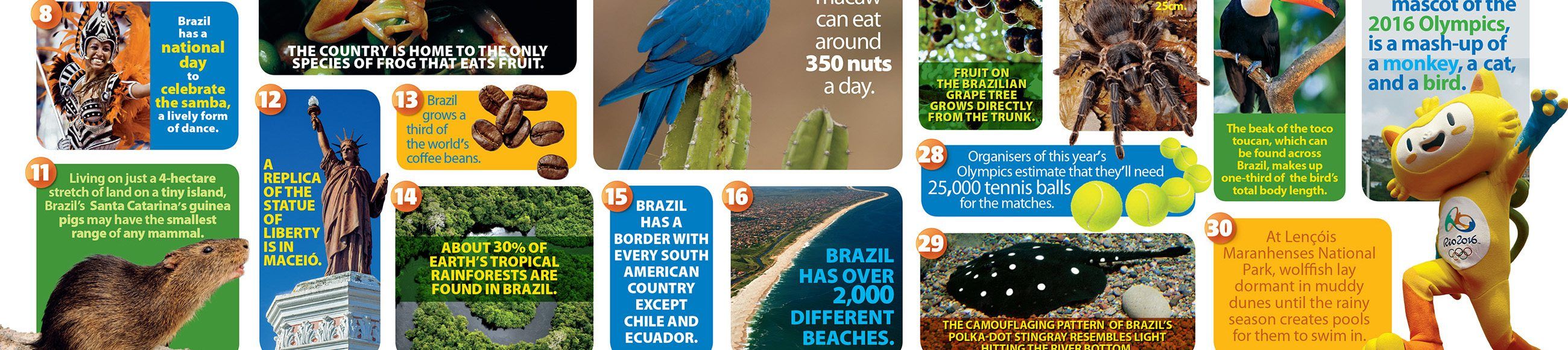 Brazil Country Profile - National Geographic Kids