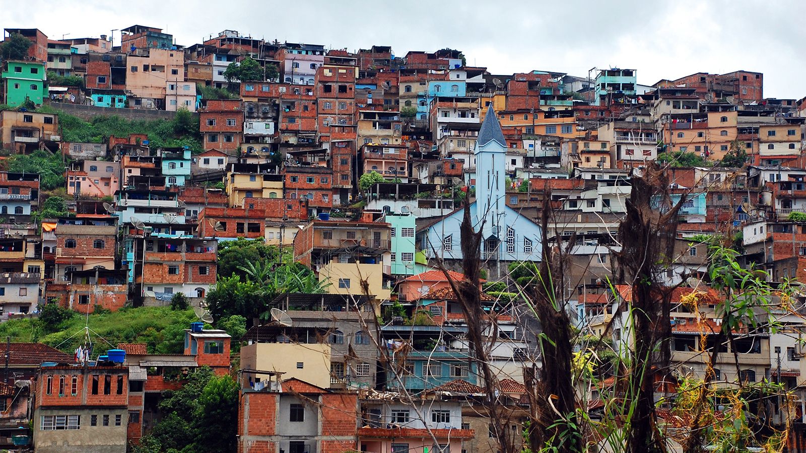 Brazil facts learn about this cool country! National Geographic Kids photo