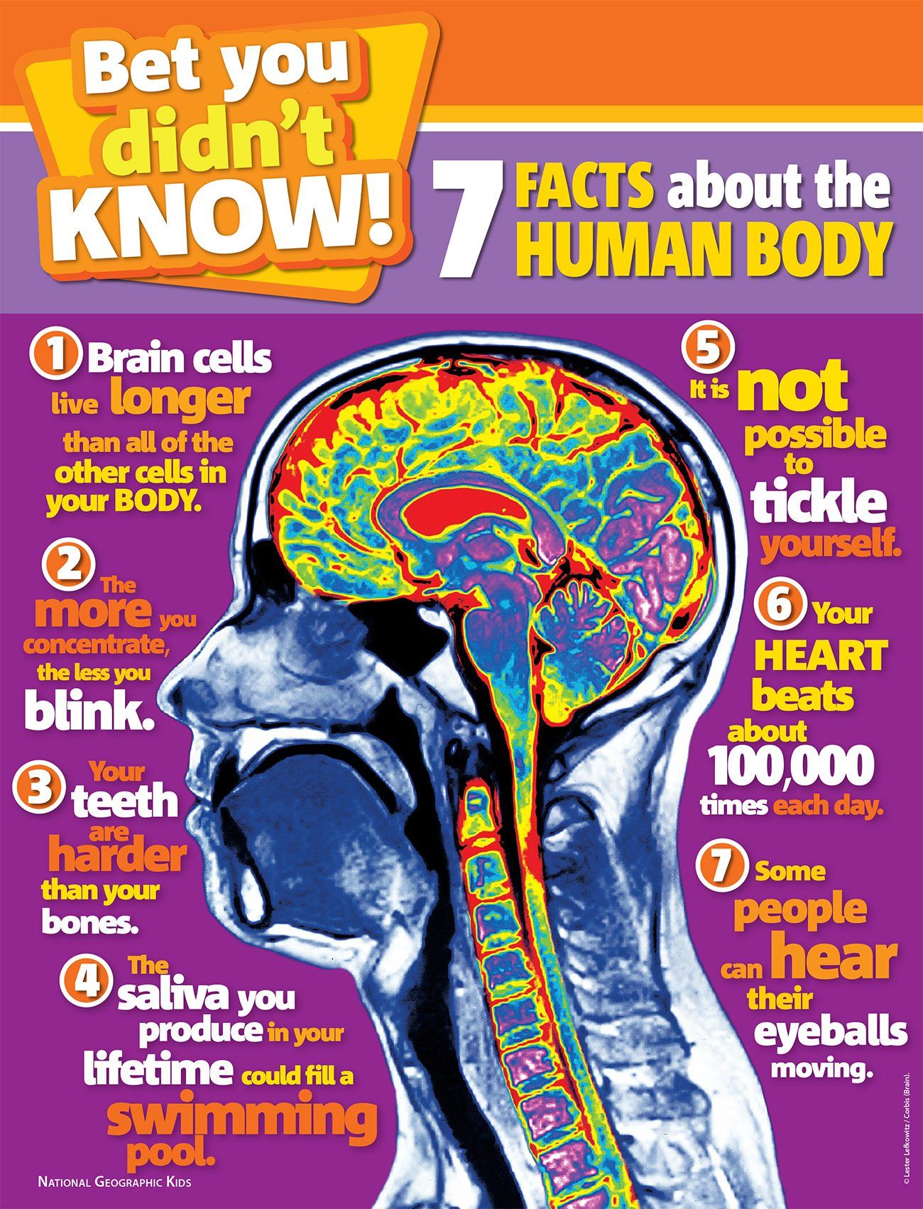 100 Facts About Human Body Pdf Hot Sex Picture