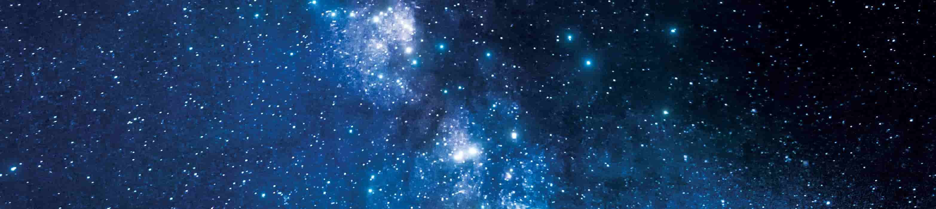 a starry sky above the silhouettes of trees