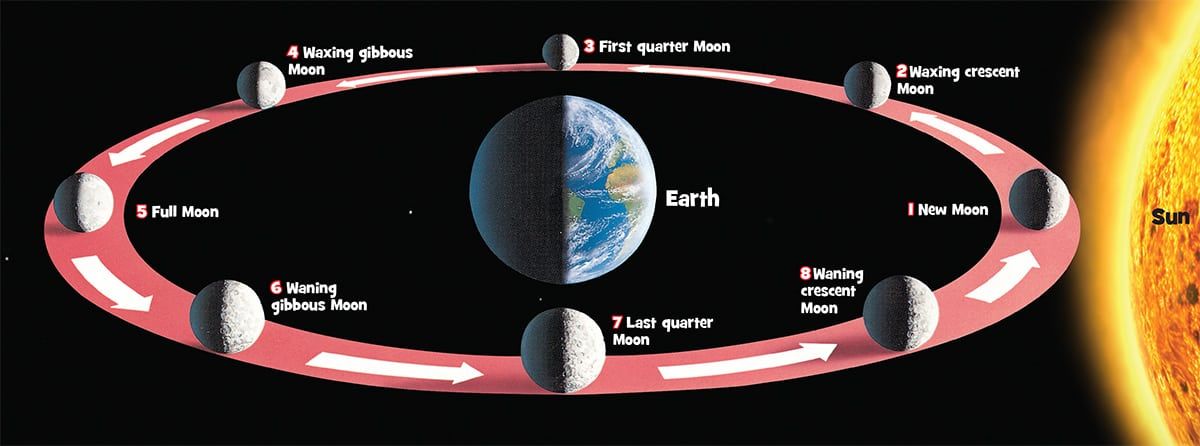 how often does the moon orbit earth