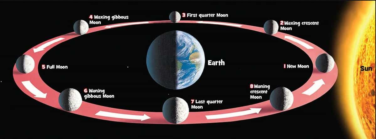 a decorative image showing the phases of the moon around the Earth