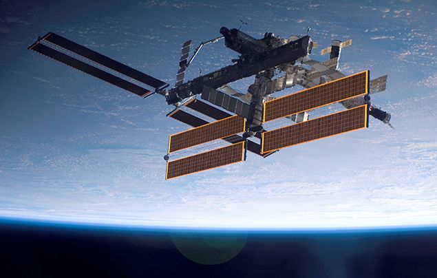 Satellites to track animals from space! - National Geographic Kids