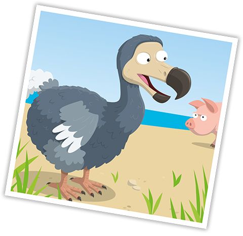 Extinct Animals - Dodo