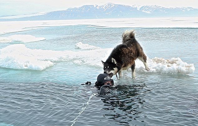 Paul Rose Dare To Explore Paul's dog lovingly nibbles his head when he surfaces from a dive