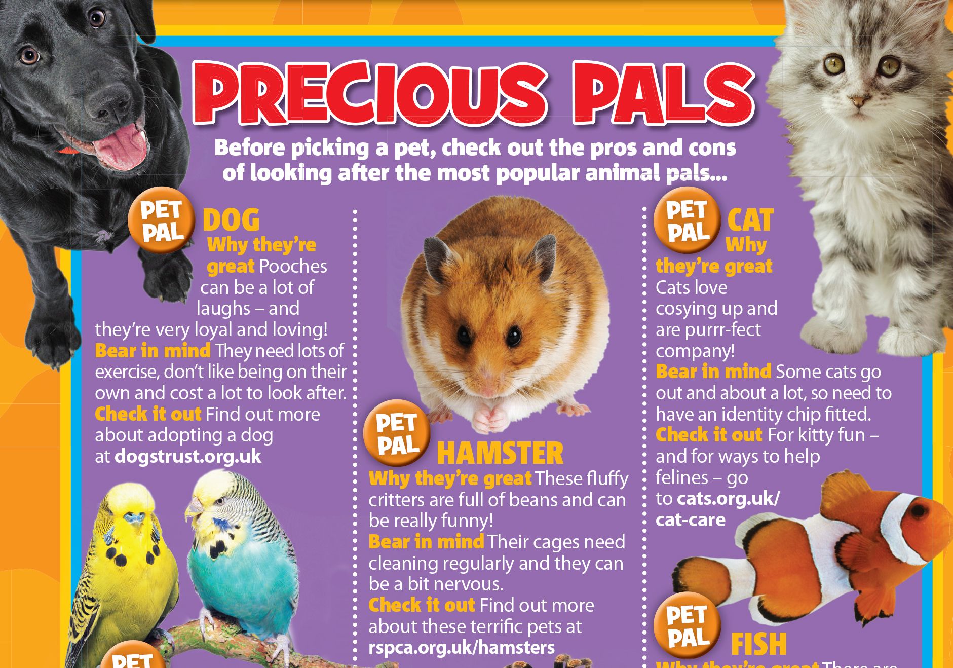 We Love Pets Primary Resource National Geographic Kids