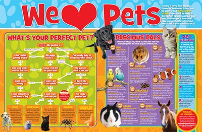 We Love Pets Primary Resource