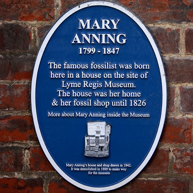 11-year-old fighting for a statue of Mary Anning: Blue Plaque on Mary Anning's former fossils shop