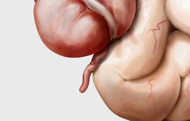 How TO Draw human digestivesy stem step by step/school science project 