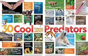 Predators Primary Resource Small Image 1