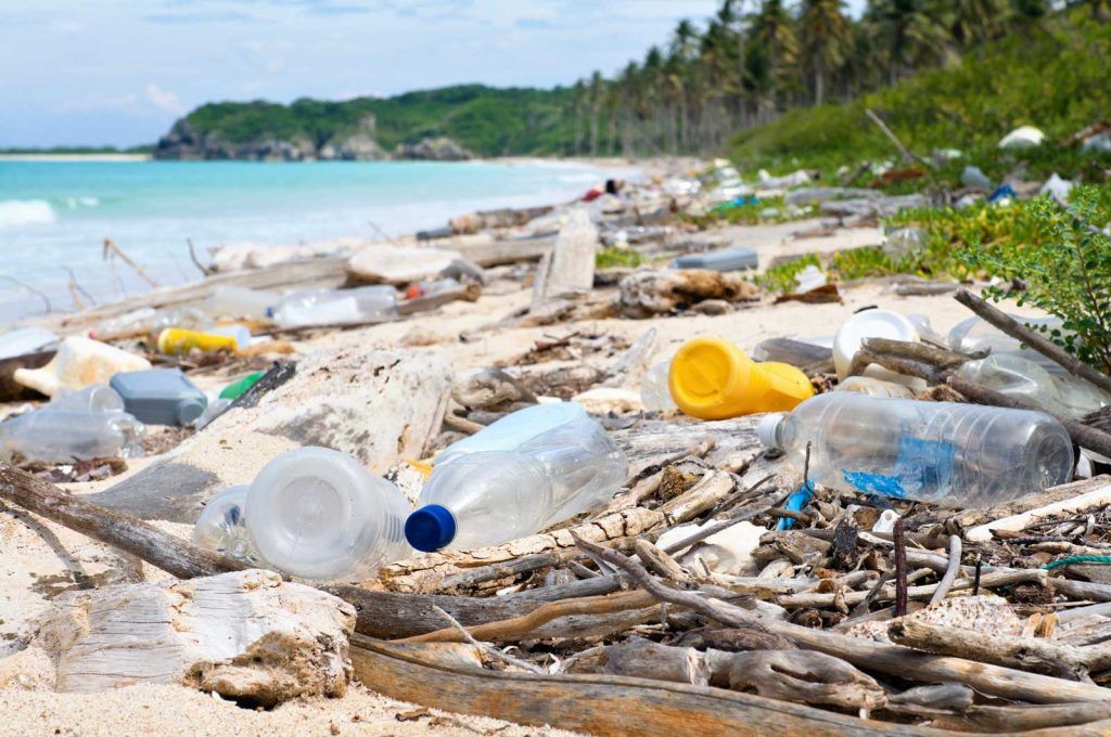 Plastic washed up on a beach