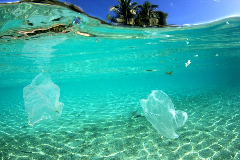 Plastic in our ocean
