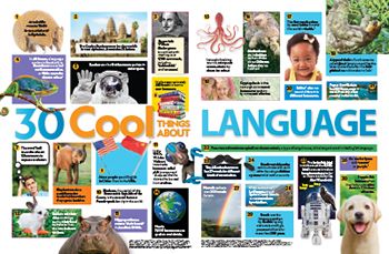 Language facts primary resource - small image