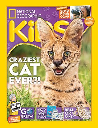 National Geographic Kids 5-Minute Baby Animal Stories