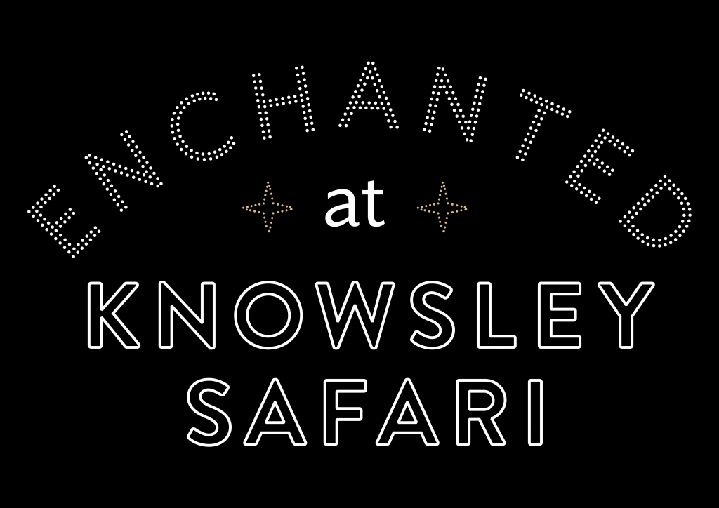 knowsley safari park enchanted