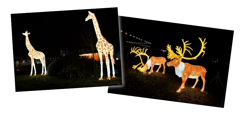 knowsley safari at christmas