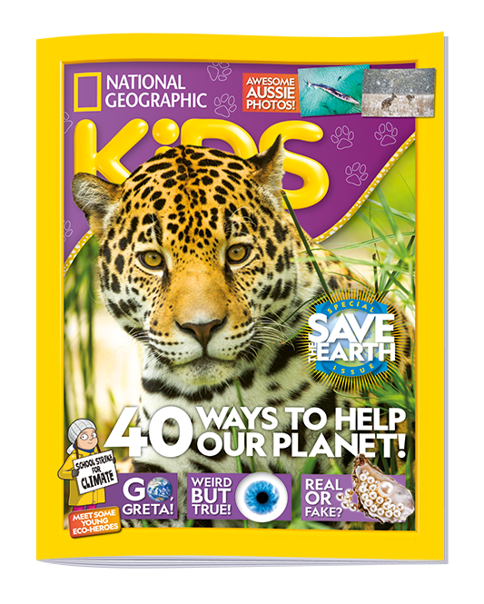 Free Digital Offer South Africa National Geographic Kids