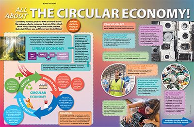 The Circular Economy Primary Resource Small Image