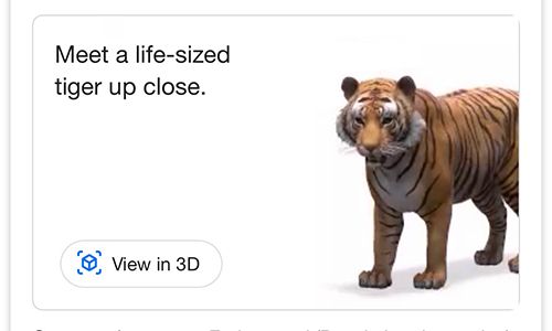 Google AR animals