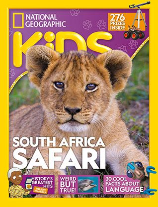 10 roarsome lion facts!  National Geographic Kids