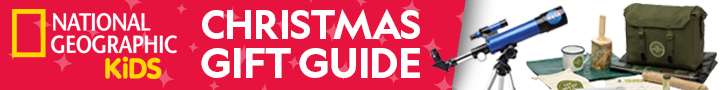 Christmas Gift Guide Leaderboard