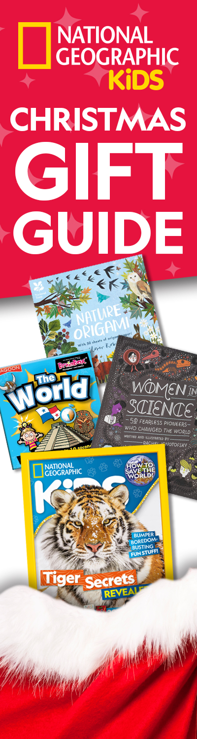 Magazines for Kids Make Reading Fun: National Geographic Kids & More –  SheKnows