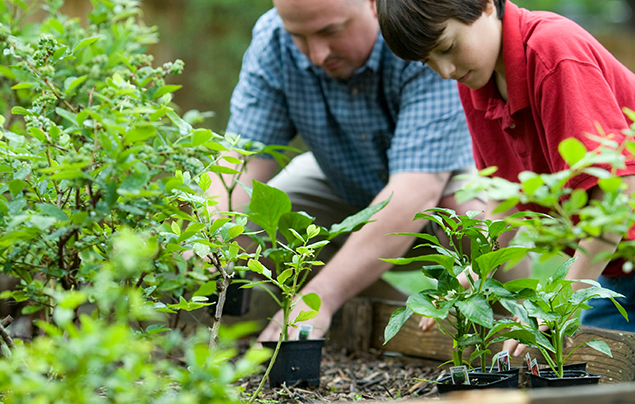 How to appreciate nature | Father and son gardening