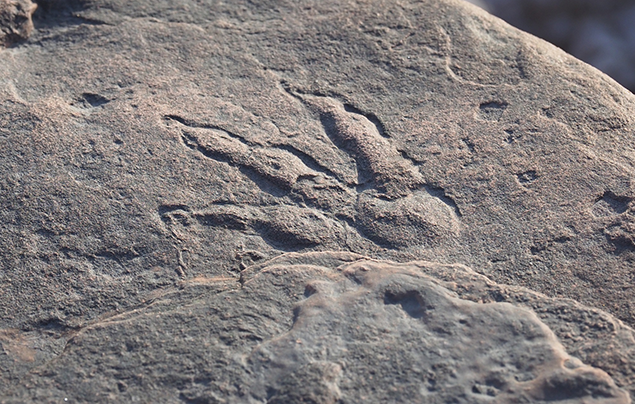 Footprints On Beach Diamond Painting 