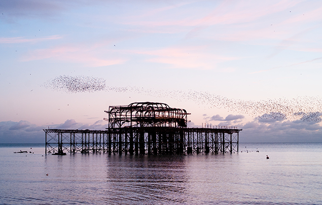 A starling murmuration passes over a broken structure in the ocean.