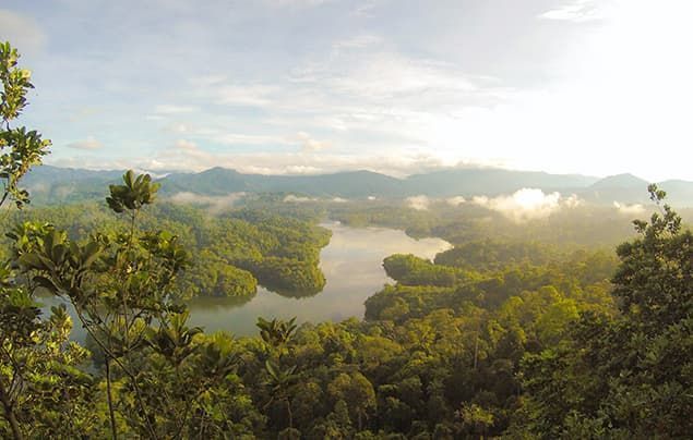 how to save the planet | a big view of pristine rainforest. a river runs through the middle and there are mountains in the background.
