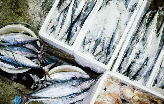 dead fish lie in barrels of ice waiting to be sold