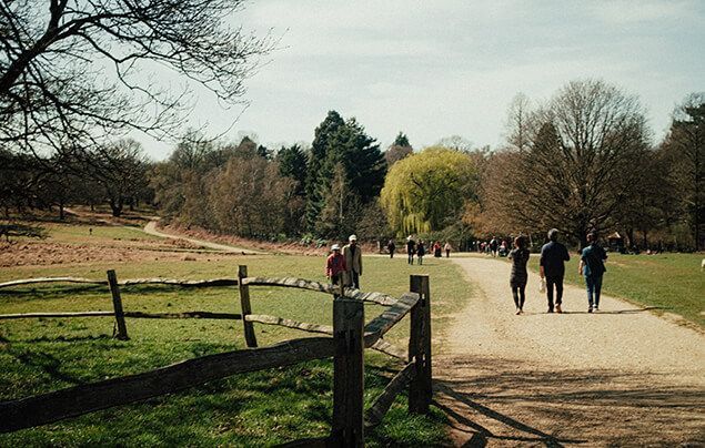 a wide path leads into a big open park, with woodlands in the background and a large grass meadow in the foreground. People are walking along the path, dressed as if they were out for a stroll in jackets and hats.