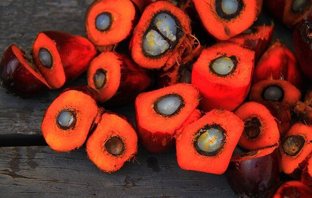 what is palm oil | orange fleshy fruits, with a white centre ringed with black