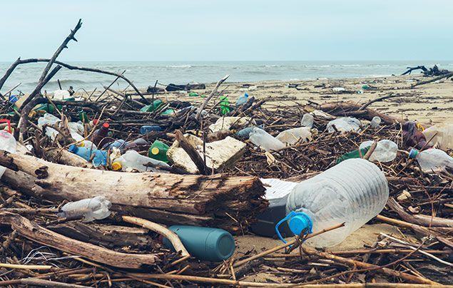 Young Changemakers water pollution