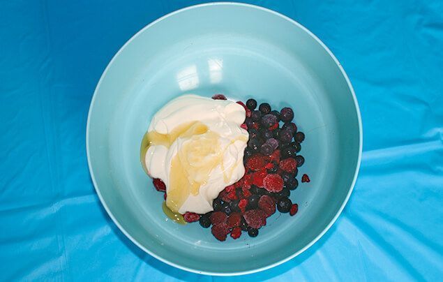 frozen yoghurt recipe | the ingredients are in a mixing bowl