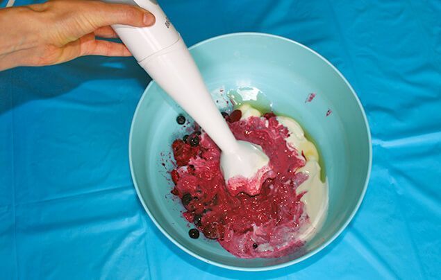 frozen yoghurt recipe | the ingredients are chopped using a handheld blender
