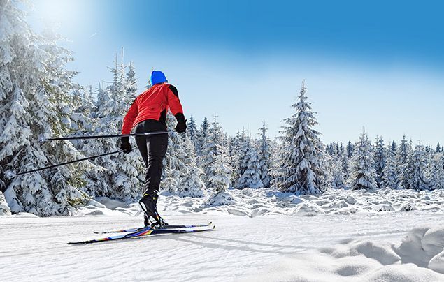 a man skis through a snowy forest
