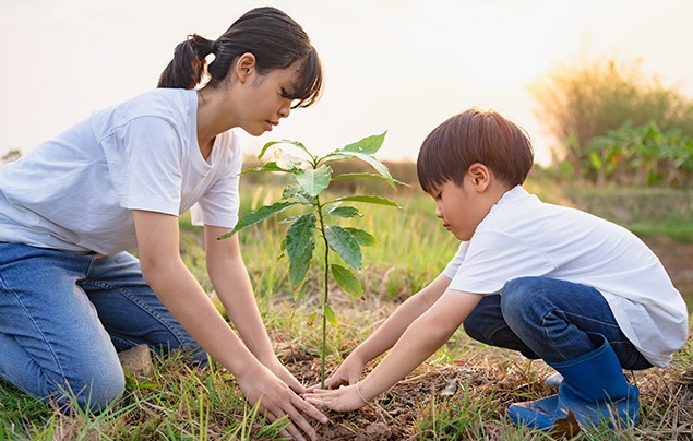 eco-anxiety | a mother and son are planting a small tree sapling in the ground