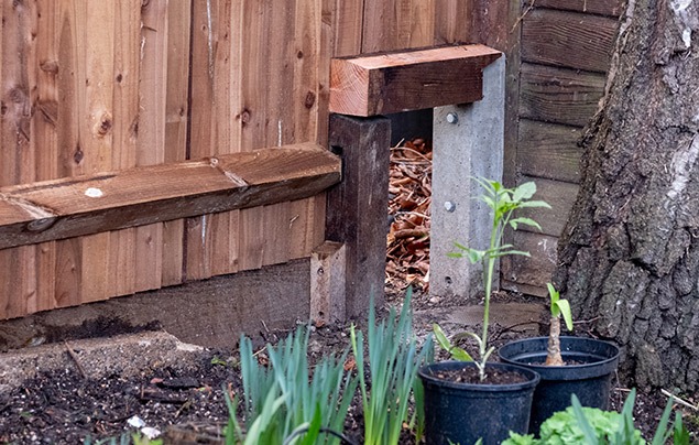 hedgehogs in the garden: a small hole has been cut in the bottom of a fence