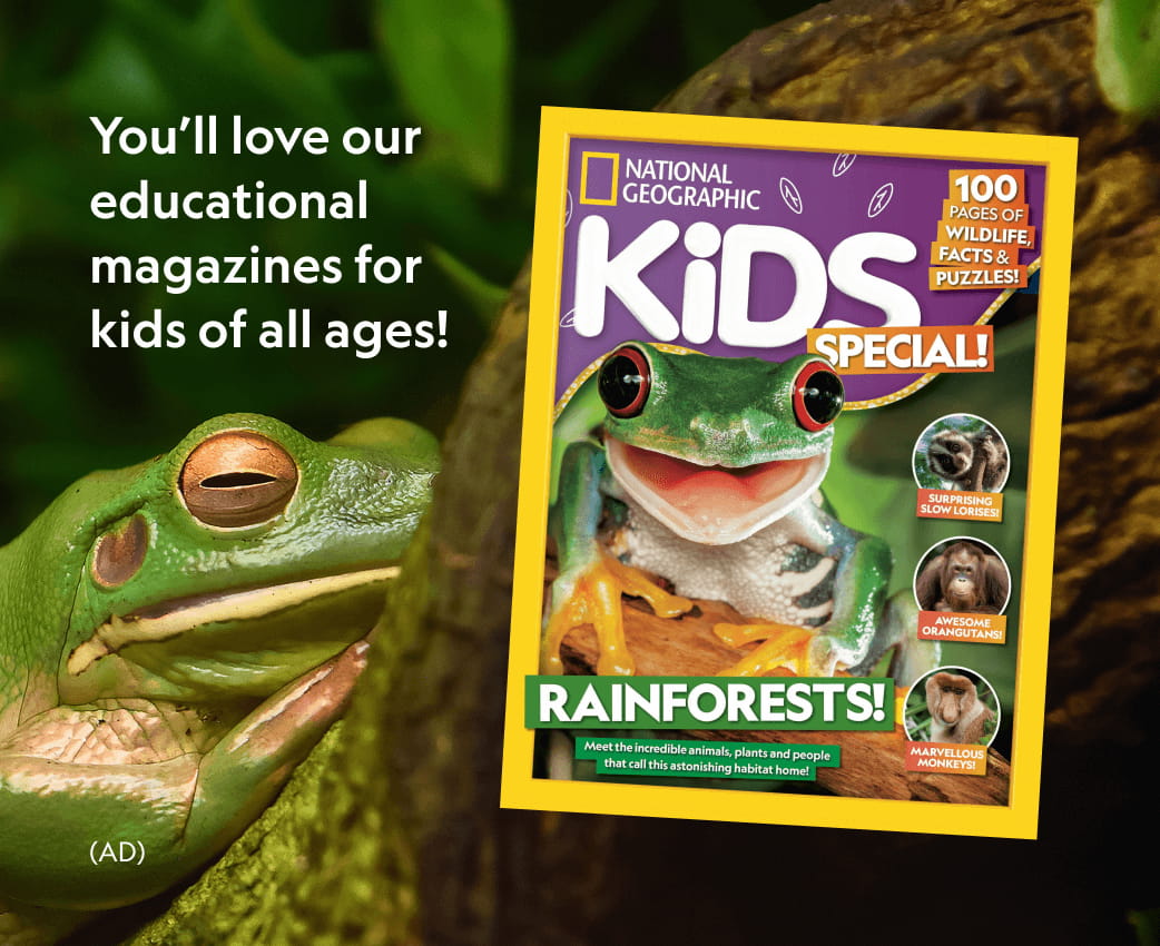 You'll love our educational magazines for kids of all ages! is written on the post, which also shows a copy of National Geographic Kids special Rainforest issue and a green rainforest frog