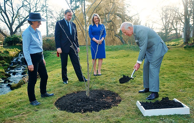 King Charles III facts | Charles plants a spindly tree into a green grass lawn. Three well-dressed people watch him. He is wearing a grey suit and using a large shovel to move soil around the plant.