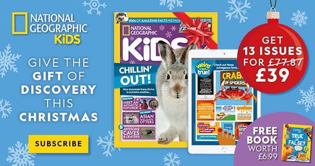 an advert for Nat Geo Kids magazine, which reads 'Give the gift of discovery this Christmas' above a yellow button that says 'Subscribe'. It also shows a magazine cover with a white hare in the snow, an iPad showing a digital version of the magazine, and a bauble which reads 'Get 13 issues for (struck through) £77.87 (not struck through) £39'. There is also a small coloured box at the bottom that reads 'Free book worth £6.99' and shows a picture of the Nat Geo Kids 'True or False?' book