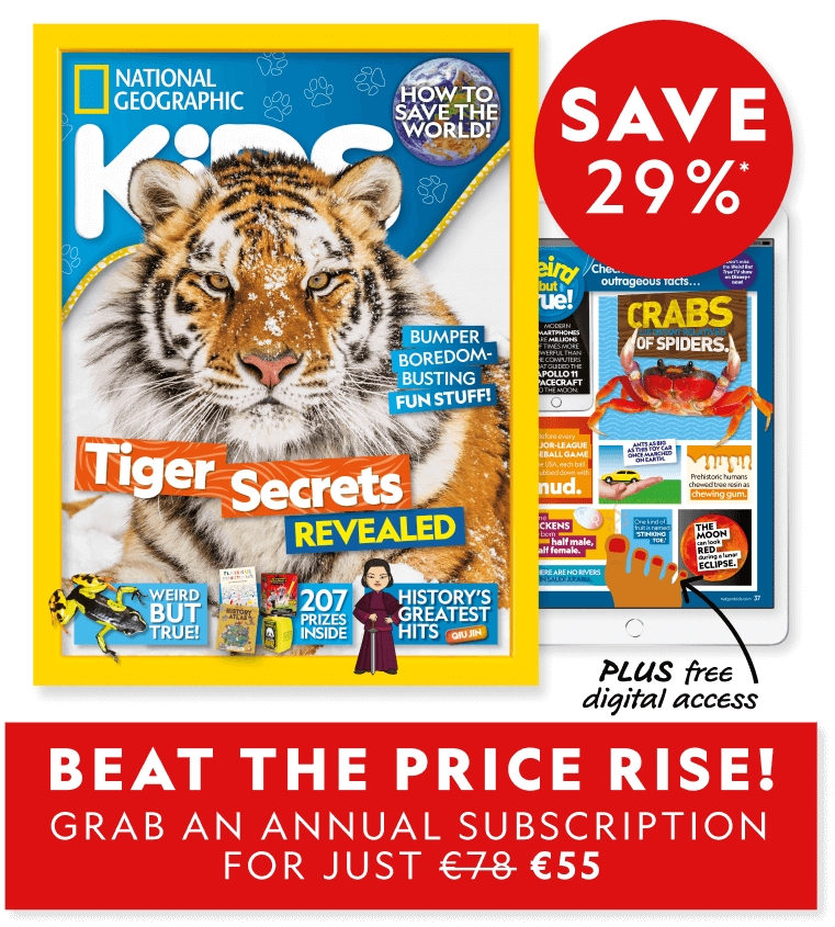 Give your child a flying start with National Geographic Kids magazine