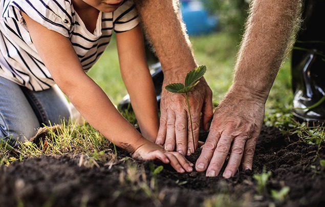 two child hands and two older hands plant a small green seedling in soil