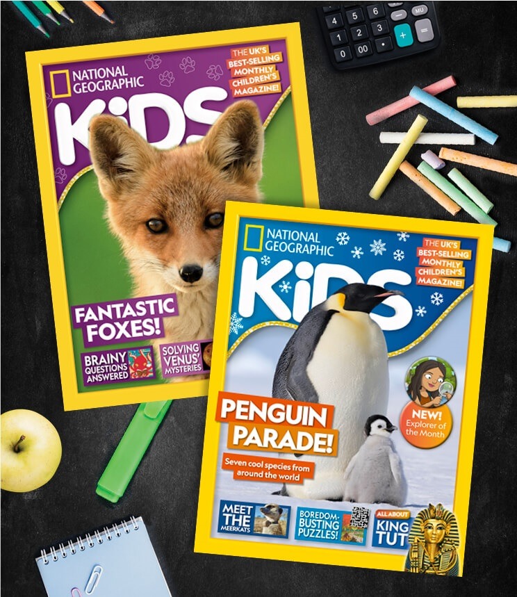 Inspire curiosity in your classroom with a National Geographic Kids subscription