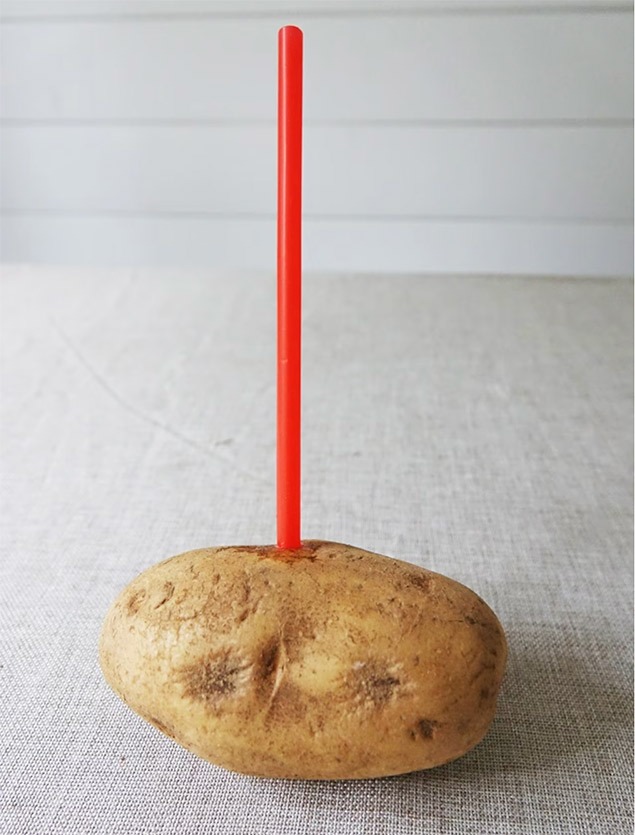 a potato with a red straw sticking out of it